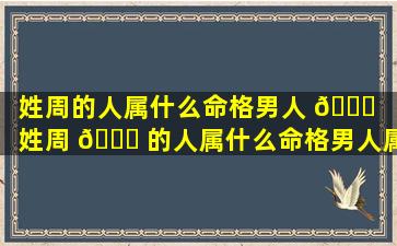 姓周的人属什么命格男人 🕊 （姓周 🕊 的人属什么命格男人属虎）